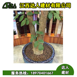 花卉園林陶粒好不好用？